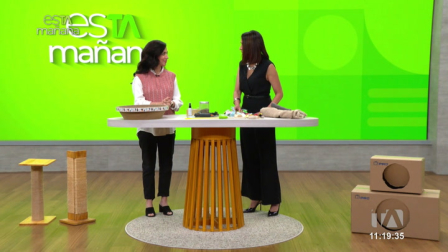 Carla Cifuentes, etóloga felina, explica qué es la gatificación, cómo adaptar los espacios del hogar a las necesidades de los gatos y por qué estos cambios favorecen su bienestar.