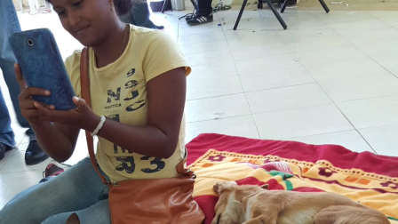 La Fundación Camino a Casa impulsa una nueva campaña masiva y gratuita de esterilización en Quito