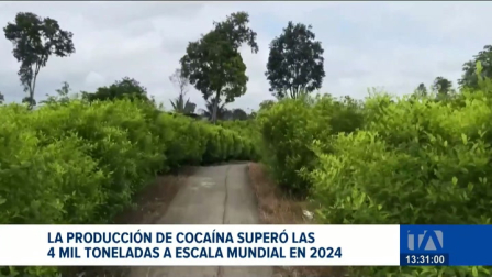 El último reporte de las Naciones Unidas destaca la contaminación de cargamentos y revela una producción mundial sobre 4 mil toneladas. Un reportaje de Bernarda Cevallos