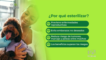 Nicole Mendoza, médica veterinaria, explica la importancia de la esterilización según el tipo de mascota y cuál es el momento adecuado para realizarla.