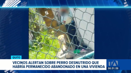 Una mujer enfrenta posible multa de USD 4 800 por la muerte de un perro. Según los informes, la mascota permaneció semanas sin alimento ni agua. Un reportaje de Mishell Villacís