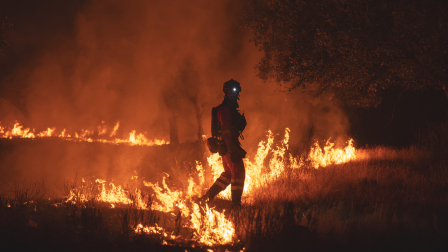Los incendios en España y Francia dejan miles de hectáreas de vegetación afectadas.