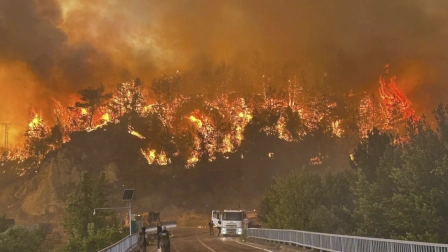 Bomberos y aeronaves combaten incendios forestales en el sur y oeste de Turquía.
