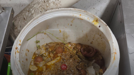 Hallan roedor sin vida y larvas en un local de comida en El Cármen, Manabí.
