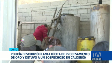 La intervención en el barrio Bellavista de Quito dejó un detenido, quien se desempeñaba como presunto cuidador de la instalación. Un reportaje de María Gracia Chacón