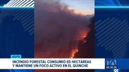 Bomberos y equipos de emergencia lograron sofocar las llamas del incendio forestal en El Quinche. Se mantiene el monitoreo para evitar reactivaciones. Un reportaje de Gustavo Jaramillo