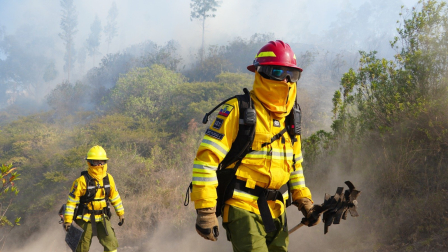 Bomberos de Quito controlaron un incendio forestal en El Quinche.