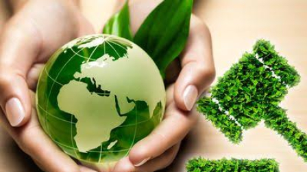 Se reformó el Código Orgánico de Ambiente