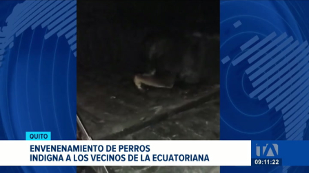 La comunidad se moviliza exigiendo justicia e investigaciones para dar con la persona responsable de los ataques contra la fauna urbana de la zona. Un reportaje de Gustavo Jaramillo