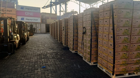 La Policía Nacional decomisó 1,2 toneladas de cocaína impregada en cajas de banano en el puerto de Guayaquil.