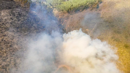 El fuego se originó la tarde del lunes 10 de agosto y los bomberos trabajan en condiciones adversas en la zona.