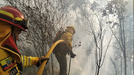 Bomberos Quito conbaten incendios forestales registrados en la capital este martes 11 de agosto de 2026.