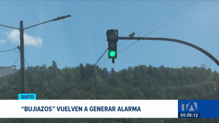 Un conductor fue víctima del robo de sus pertenencias tras el rompimiento del ventanal de su vehículo. Policía alerta la recurrencia de este delito. Un reportaje de Mishel Villacís