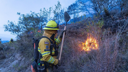 Quito y Cotacachi bajo extrema vigilancia por incendios forestales activos