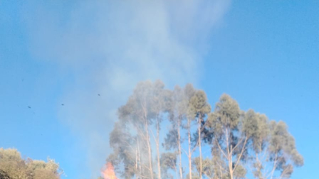 Un incendio forestal se registra en la av. Simón Bolívar este viernes 14 de agosto de 2026.