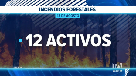 Las fuertes ráfagas de viento y las altas temperaturas complican la sofocación del fuego a escala nacional, provocando la rápida propagación de las llamas. Un reportaje de Belén Merizalde