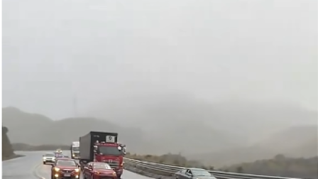 Dos osos andinos fueron vistos en la vía a Papallacta.