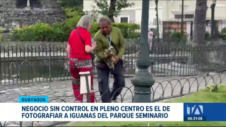 Comerciantes y fotógrafos del Parque Las Iguanas sostienen y manipulan a los ejemplares para ofrecerlos a los visitantes. Un reportaje de Jazmín Solís