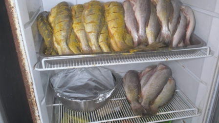 Clausuran local de corvinas en el sur de Guayaquil por presencia de plagas y un gato en la cocina.