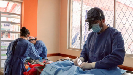 La UBA realizará campaña de esterilización de mascotas este sábado 29 de agosto en Quito.