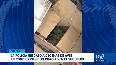Mediante el allanamiento a dos inmuebles, las autoridades rescataron varias especies que permanecían en condiciones deplorables. Un reportaje de Jazmín Solís