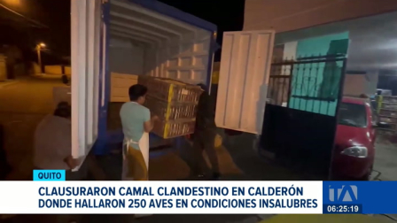 Agentes de control intervinieron un predio en el norte de Quito por operar en condiciones insalubres e incumplir la normativa sanitaria. Un reportaje de Nathalie Jiménez