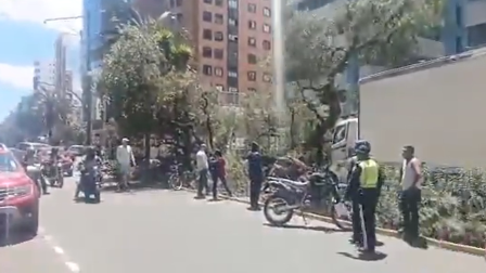 Árbol caído provoca el cierre de un carril en la avenida República del Salvador