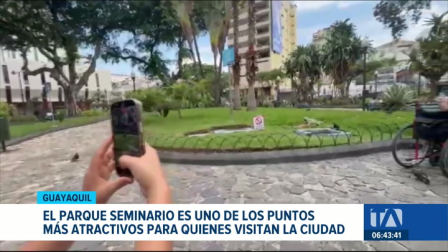 Pese a las campañas municipales lanzadas contra la explotación de animales para fotografías turísticas, persiste la problemática. Un reportaje de Jazmín Solís