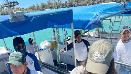 Un piquero pardo juvenil apareció en el muelle de Santa Cruz.