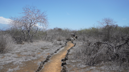 Las autoridades destinarán un fondo para conservar las especies nativas de Galápagos