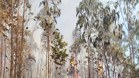 Incendio forestal se registra en San Vicente de El Quinche.