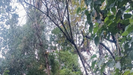 Los Bomberos de Quito ayudaron a un hombre a salir de una montaña en la reserva Pasochoa.