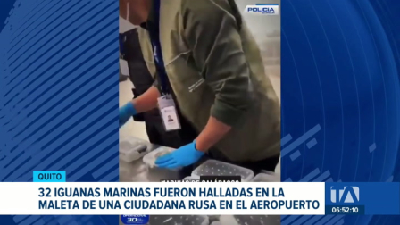 Operativos de control permitieron la incautación de aletas de tiburón, iguanas marinas y pepinos de mar. Un reportaje de Ricardo Cruzatty