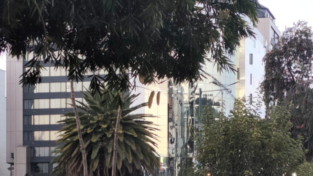 Un peatón fallece en la av. de los Shyris y Naciones Unidas en un siniestro con un scooter