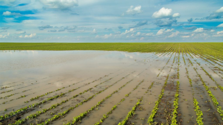 cuador y la ONU coordinan acciones para proteger a las poblaciones más vulnerables ante los posibles efectos del fenómeno de El Niño.