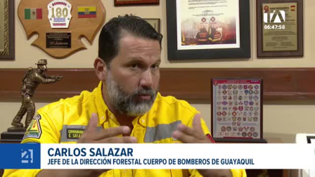 El Cuerpo de Bomberos alerta que el estado seco de la vegetación, sumado a las altas temperaturas y fuertes vientos, propician el avance de las llamas. Un reportaje de Camila Guevara