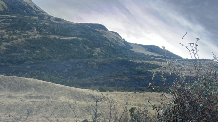 Vista del área afectada por el incendio forestal en el sector de San Agustín, en Píntag.