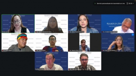 Comisión se Fiscalización en reunión virtual del sábado 5 de septiembre.
