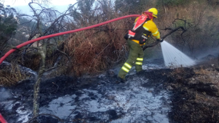 Bomberos de Quito controlan incendio en el sector de Guápulo la tarde de este lunes 7 de septiembre de 2026.