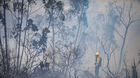 Una columna de humo se observa en el norte de Quito por un incendio forestal.