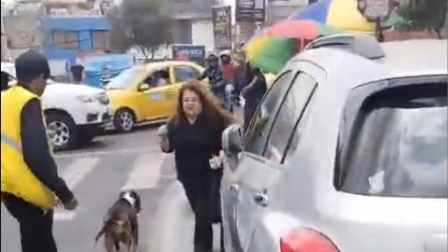 Ciudadanos intentan separar a perros pitbull de ataque a otro perro, en el norte de Quito.