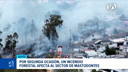 El Cuerpo de Bomberos de Quito confirmó que el fuego registrado en el norte de la capital fue provocado de manera intencional. Un reportaje de Brigette Mancheno
