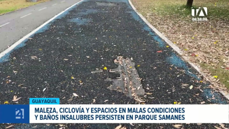 Pese a que Parques EP indica que ha ejecutado obras de mantenimiento, un recorrido de este noticiero constató que el deterioro y la falta de limpieza en el Parque Samanes. Un reportaje de Camila Guevara
