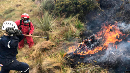 Nueve incendios forestales permanecen activos en Ecuador y otros cuatro se encuentran controlados.