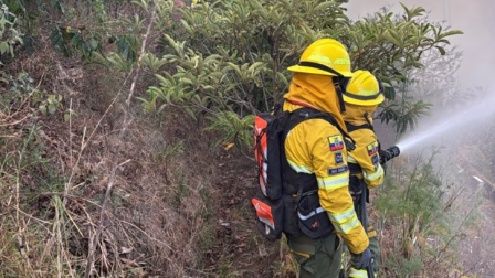 Bomberos Quito alertó sobre la recurrencia de quemas e incendios forestales en la capital la noche de este lunes 14 de septiembre de 2026.