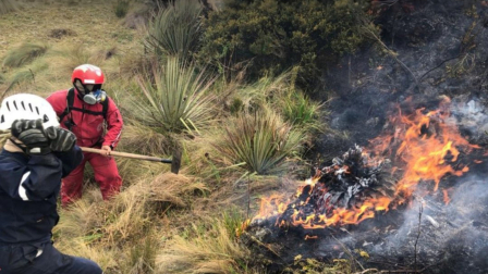 Cinco incendios forestales siguen activos en Ecuador: Conozca las provincias afectadas