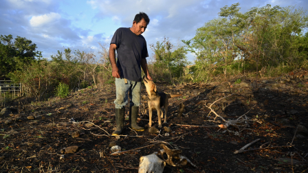 Darwin Cruz acaricia a un perro mientras observa los restos óseos de una vaca muerta en la aldea de Los Piches, en San Lorenzo, Honduras