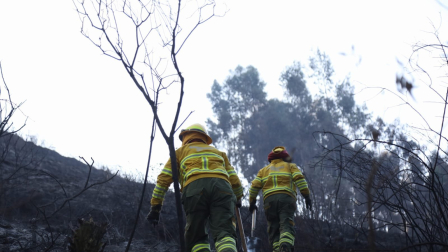 Cuerpo de Bomberos Quito continúa trabajando en el cerro Casitagua para controlar el fuego.
