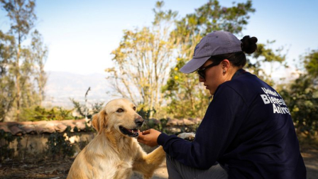 Personal de la Unidad de Bienestar Animal (UBA) supervisa el estado de mascotas tras incendios forestales en Quito.