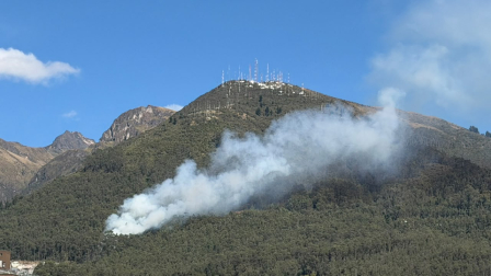 El Cuerpo de Bomberos indicó que su personal se encuentra desplegado en el sector para impedir que las llamas se extiendan.